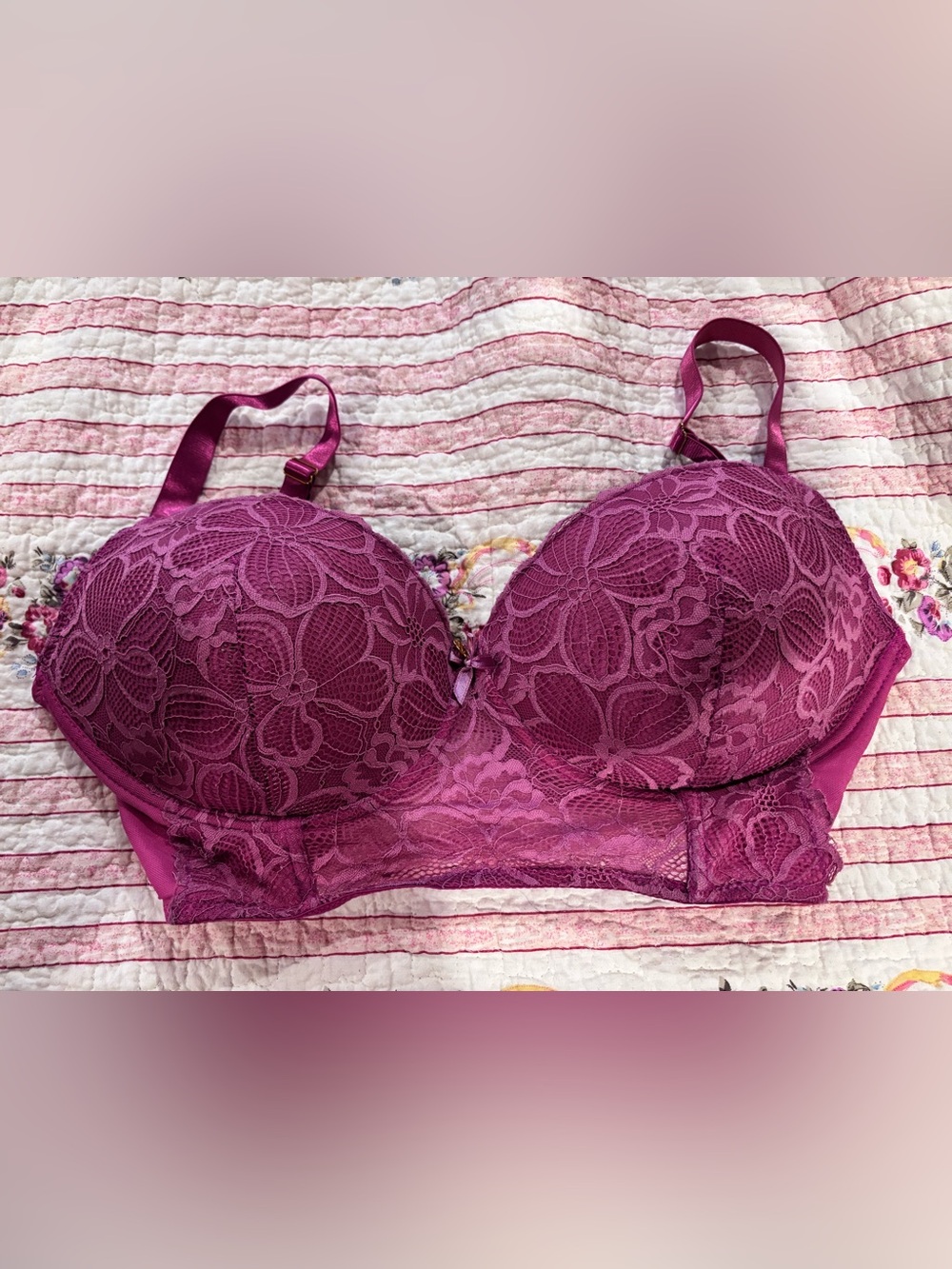Daisy fuentes Lace Longline Bra in Deep Magenta